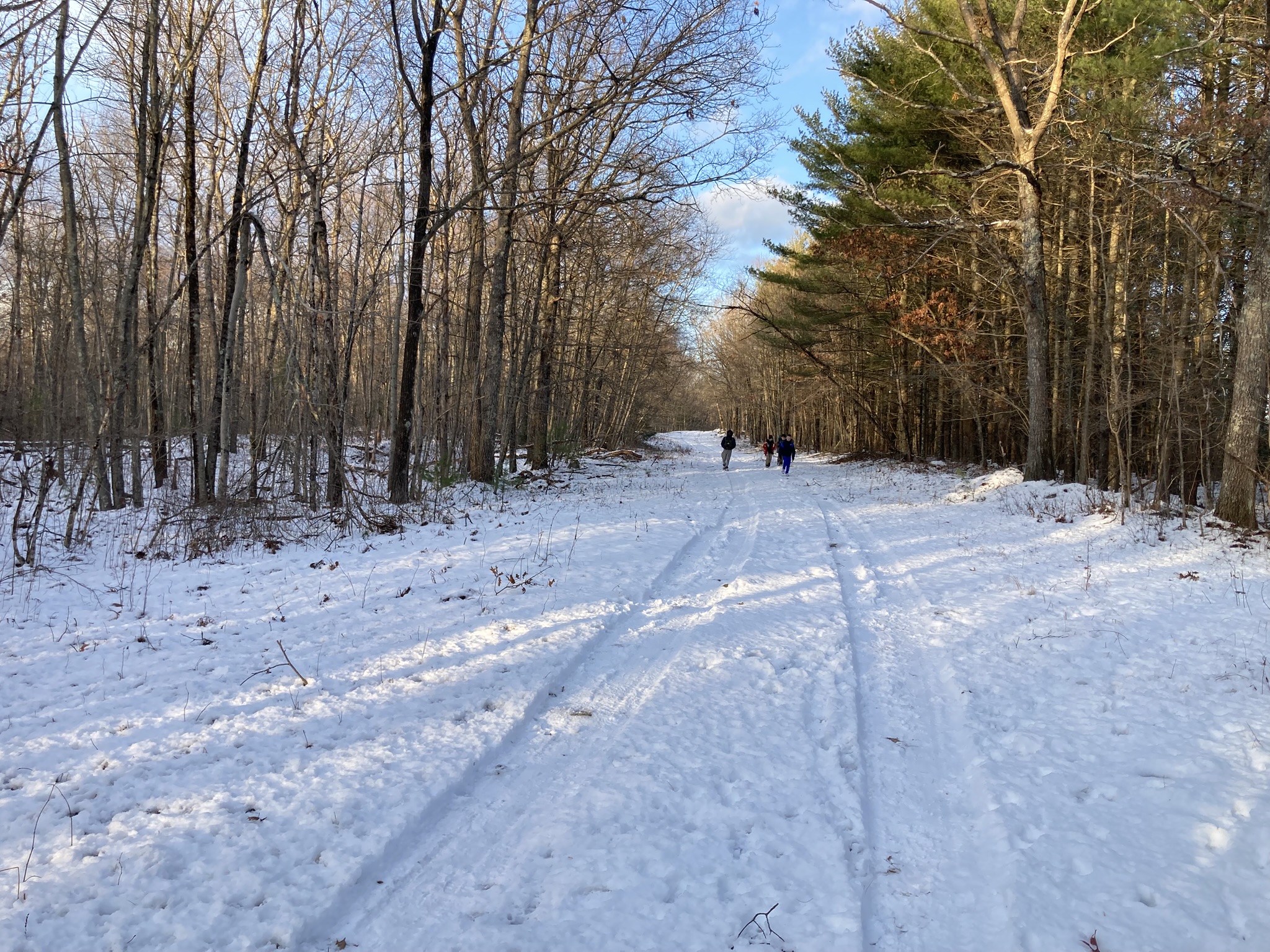 Buckhill Management Loop Hike